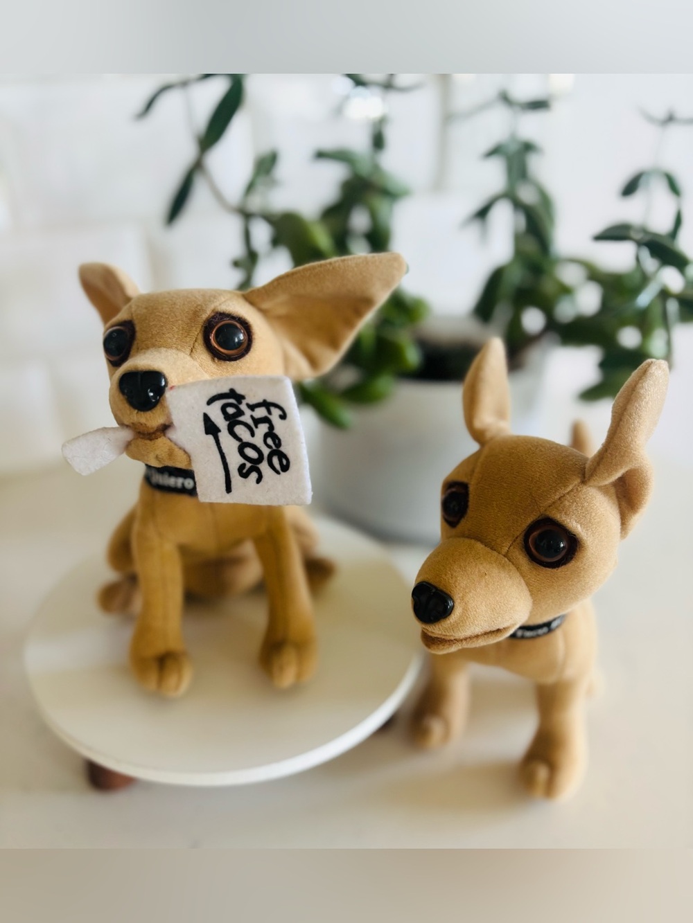 Vintage 90’s Yo Quiero TACO BELL Chihuahua Plush set 🌮🔔🐕